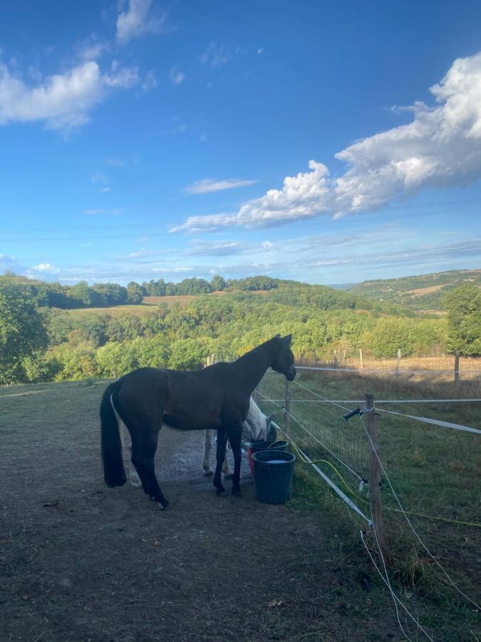 Chez Sophie - Gite Et Gite Equestre Clermont-Dessous ภายนอก รูปภาพ