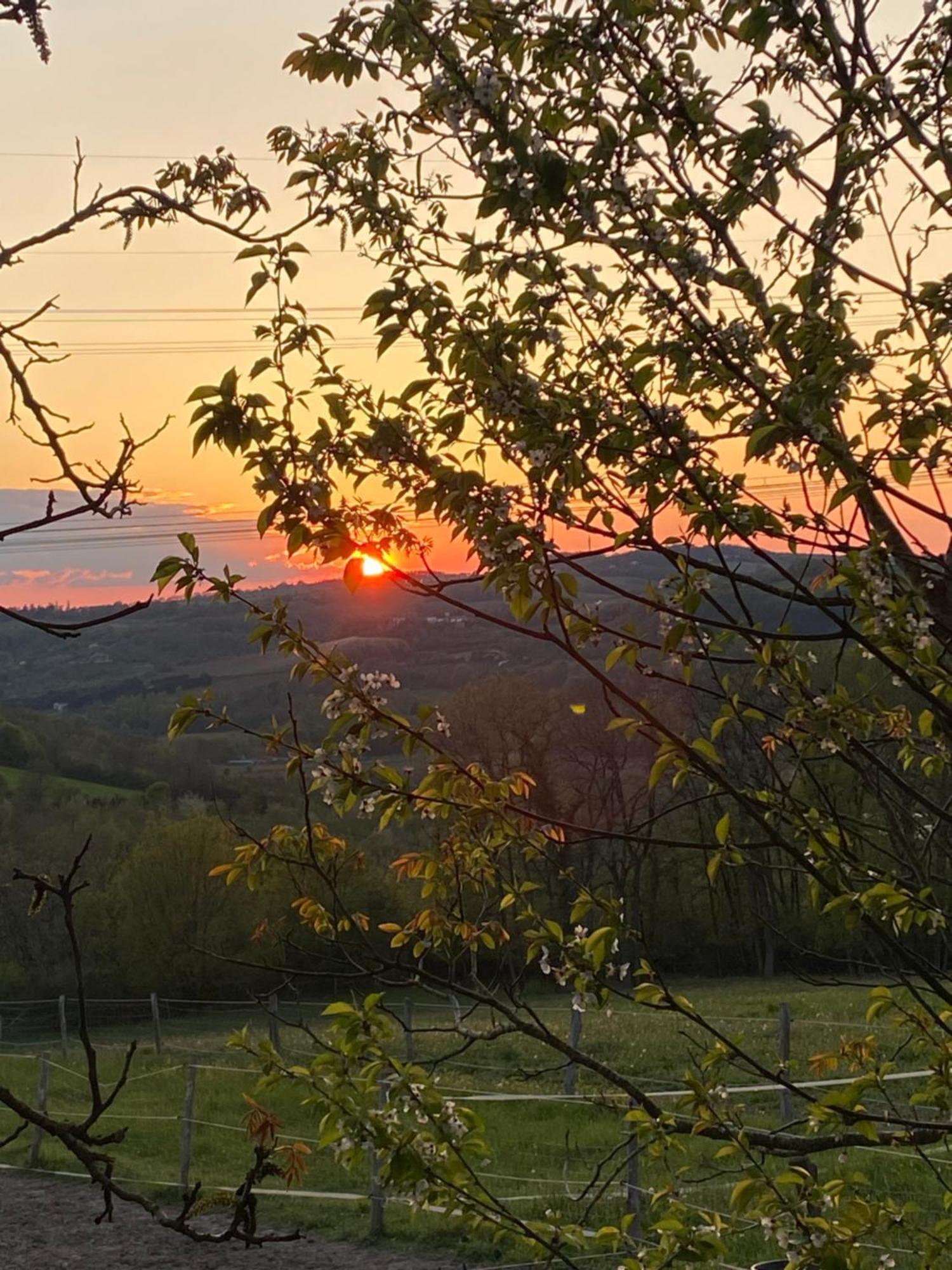 Chez Sophie - Gite Et Gite Equestre Clermont-Dessous ภายนอก รูปภาพ